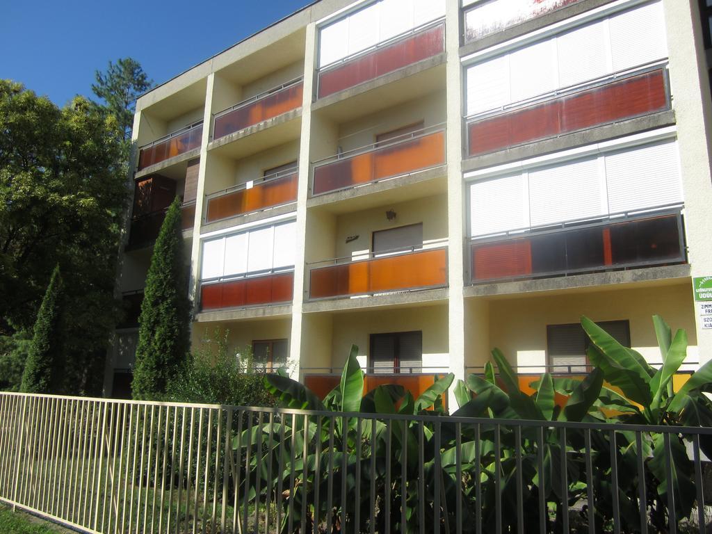 Gyoengyvirag Ueduelo - Mario Apartman Harkány Rum bild