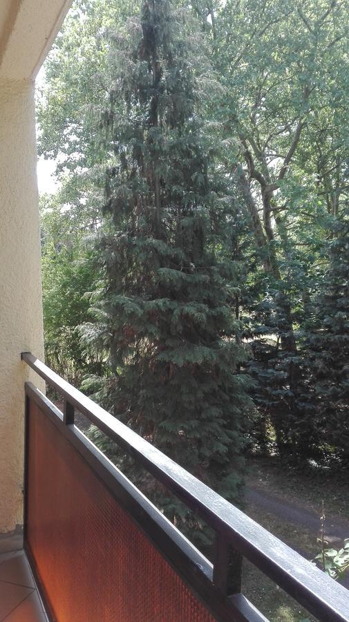 Gyoengyvirag Ueduelo - Mario Apartman Harkány Exteriör bild